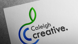 Caleigh Creative Logo designer alligner